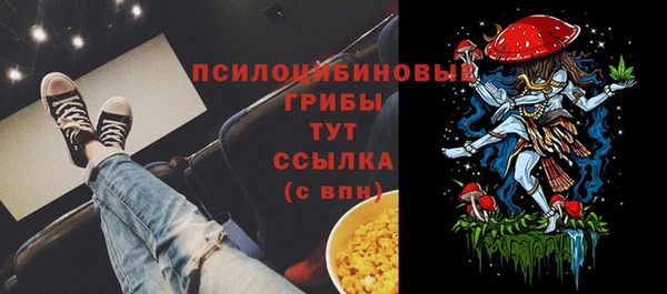 мет Аркадак